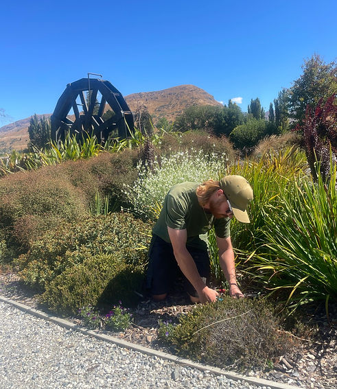 Gardening - Lower Shotover_edited.jpg