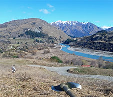 Brushcutting Quail Rise_edited.jpg