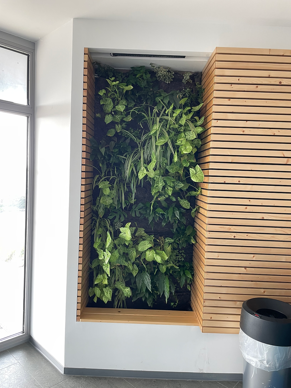 Rénovation et entretien d'un mur végétalisé