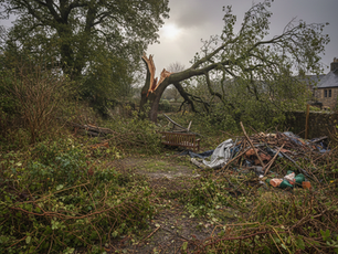 Sortir de l'hiver : Le guide Garden Party pour un jardin prêt à rayonner