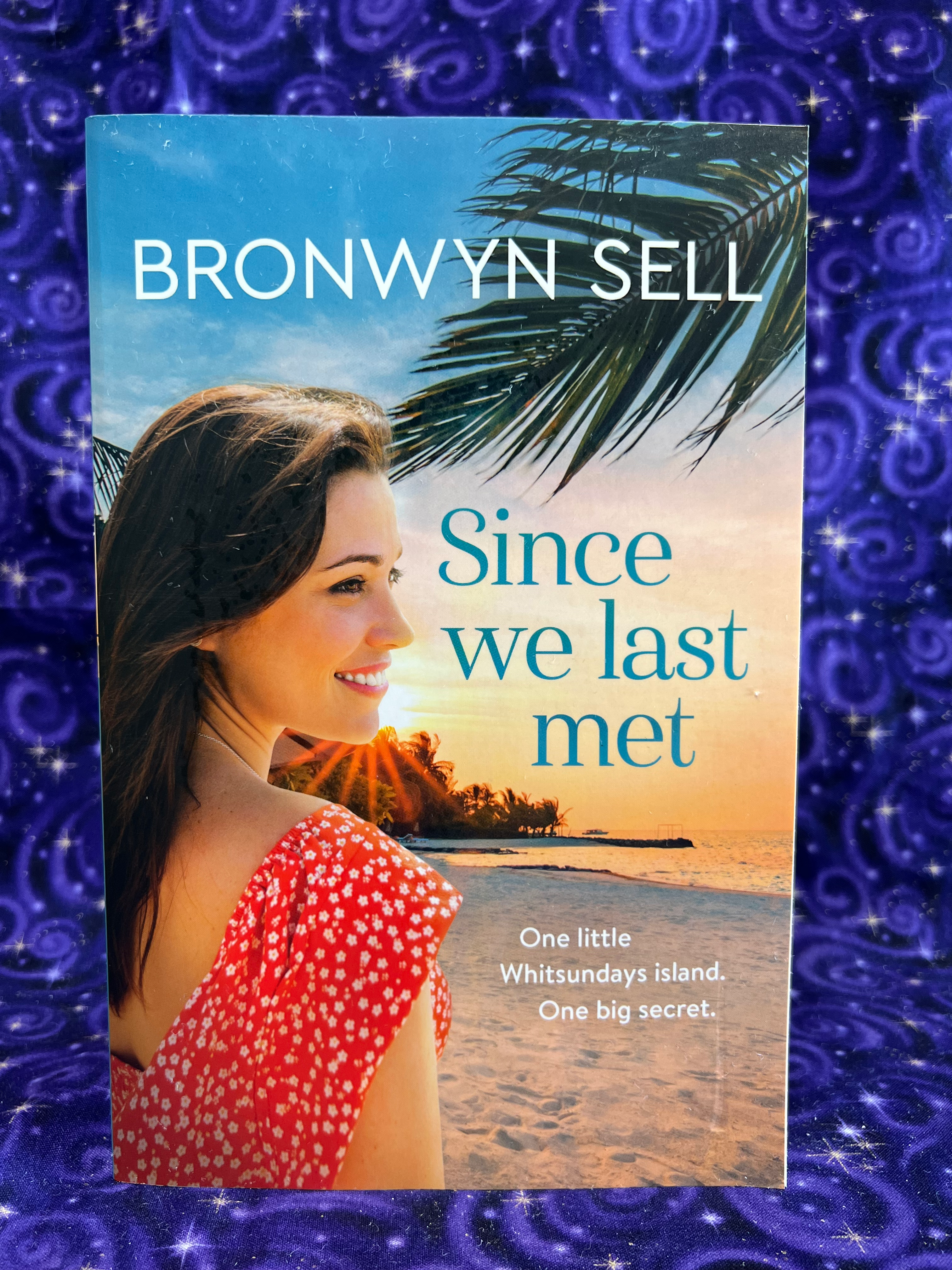 Since We Last Met by Bronwyn Sell
