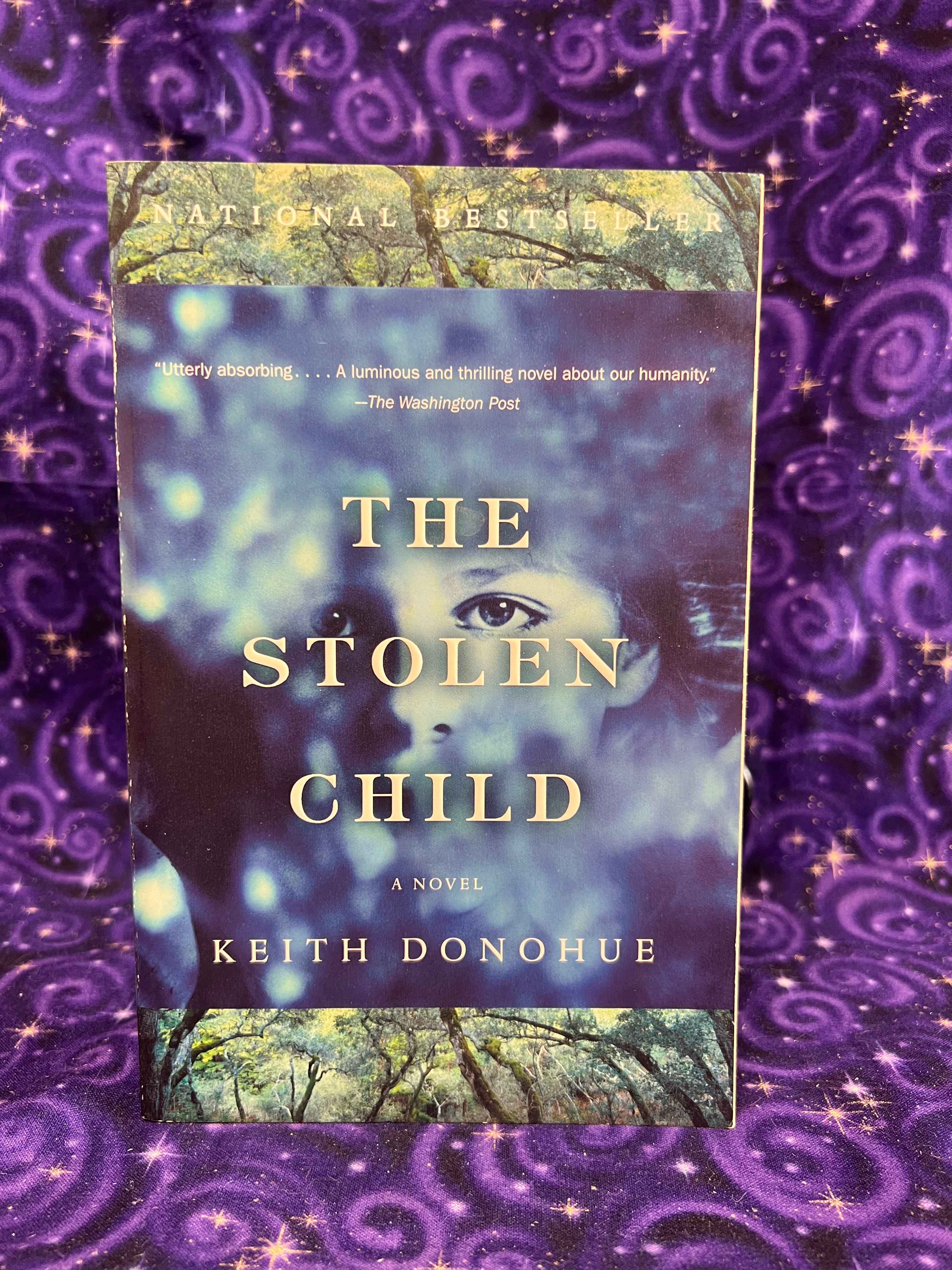 The Stolen Child by Keith Donohue