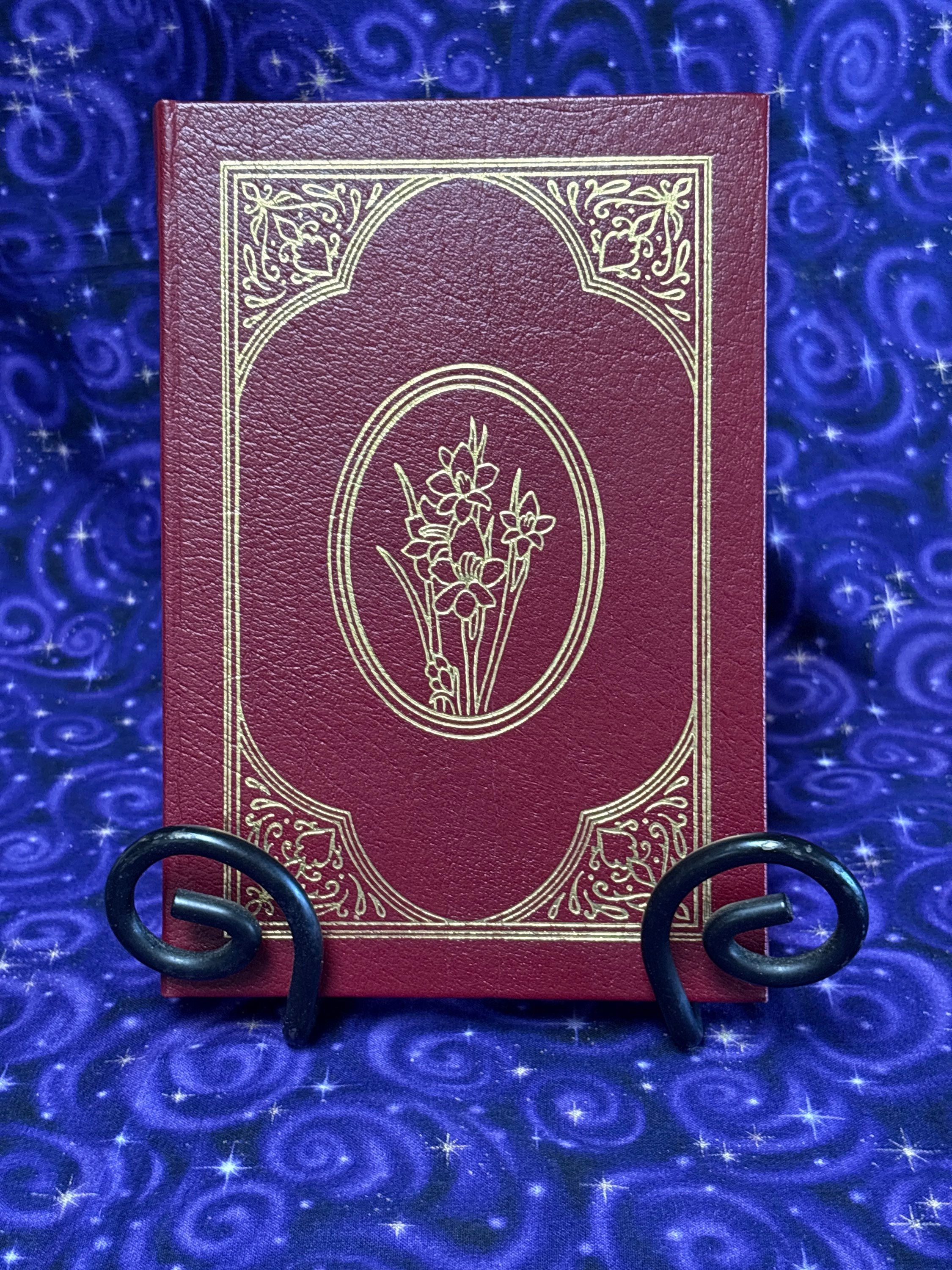 Wild Flowers of the Mediterranean by Ingrid and Schönfelder