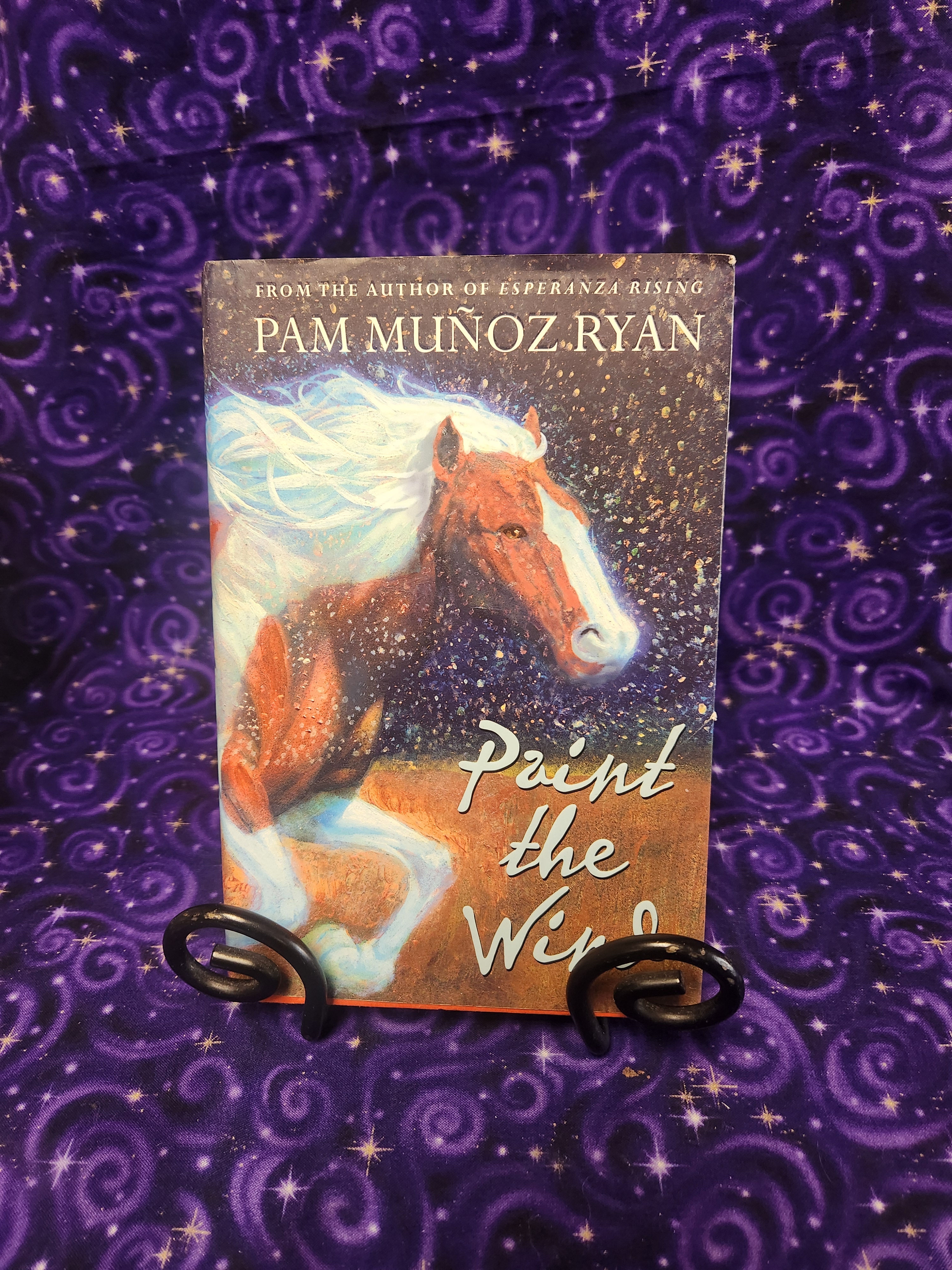 Paint the Wind by Pam Munoz Ryan 