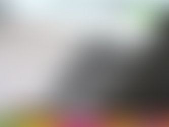 Onze governadores renunciam para disputar eleições de outubro