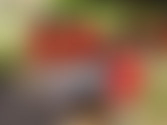 Estudiantes presentaron sus proyectos en el Festival de las Ciencias y las Matemáticas 2025