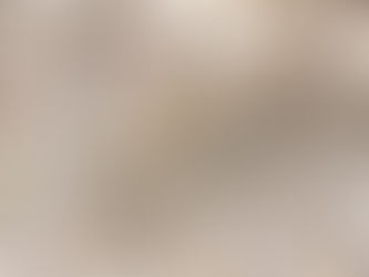 Leopardus Jacobita: Una Visita muy Particular