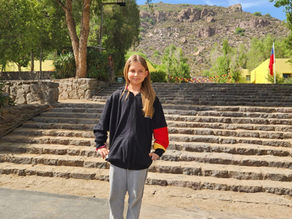 ¡Ya tenemos nuevo diseño para el polerón del Colegio Alemán de San Felipe!