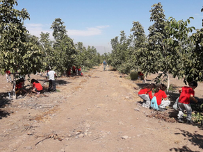 Experiencia Naturkunde 1.klasse