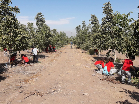 Experiencia Naturkunde 1.klasse