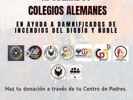 Campaña Solidaria en ayuda a damnificados por incendios en Bío Bío