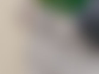 What’s Involved in a Roof Replacement on Vancouver Island?