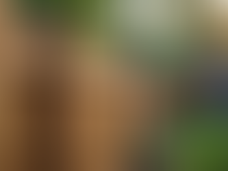 Secure Your Home with Durable Fencing Solutions