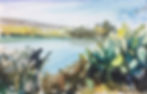 El Charco Watercolor VII