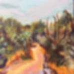 El Charco de Ingenio III