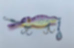 Bomber Waterdog 1500 #71 Purple Back Yel