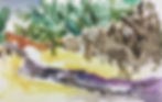 El Charco Watercolor VIII