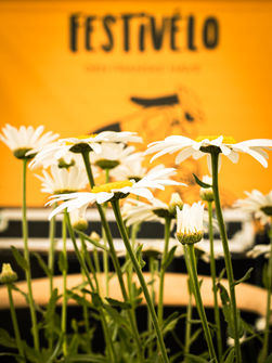 dekoration leje af deko amager heick productions ahpro brandactivation