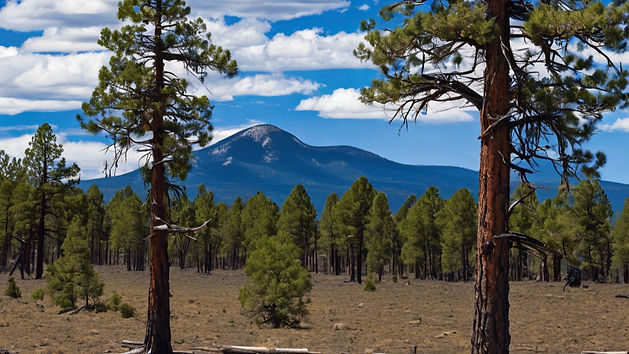 flagstaff arizona horizon, bright blue sky, ponderosa pines, humphreys peak.jpg