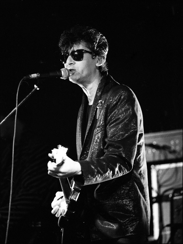 Alain BASHUNG
