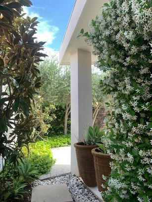 Beautiful garden maintenance