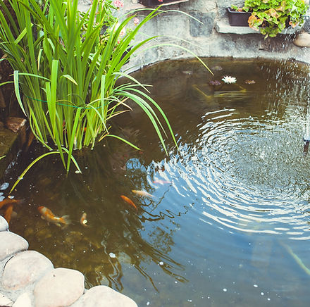 池ライナー、池ライナー、庭の池ライナー、庭の池、鯉の池、小川の