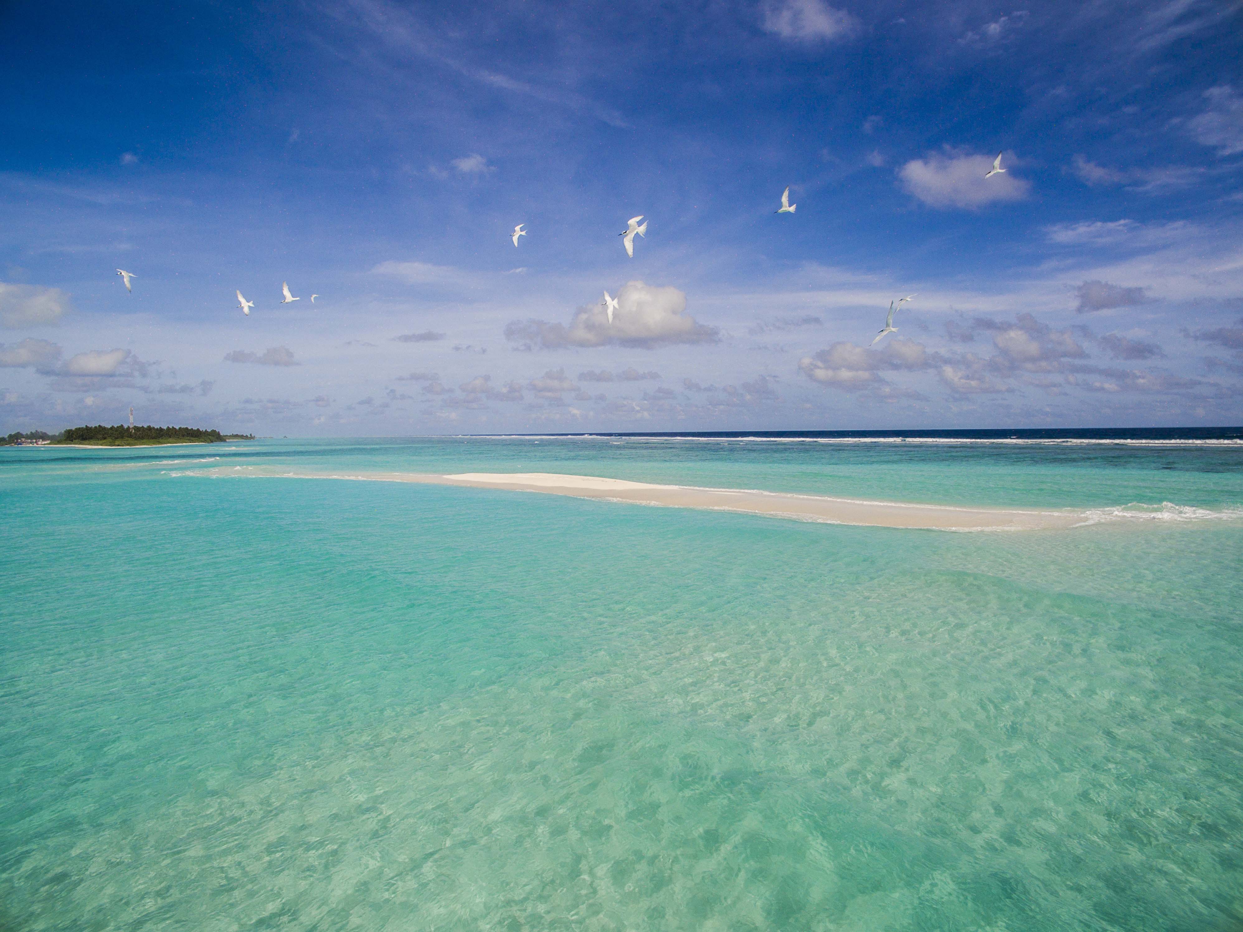 Lacabana Maldives Sand Bank (2)