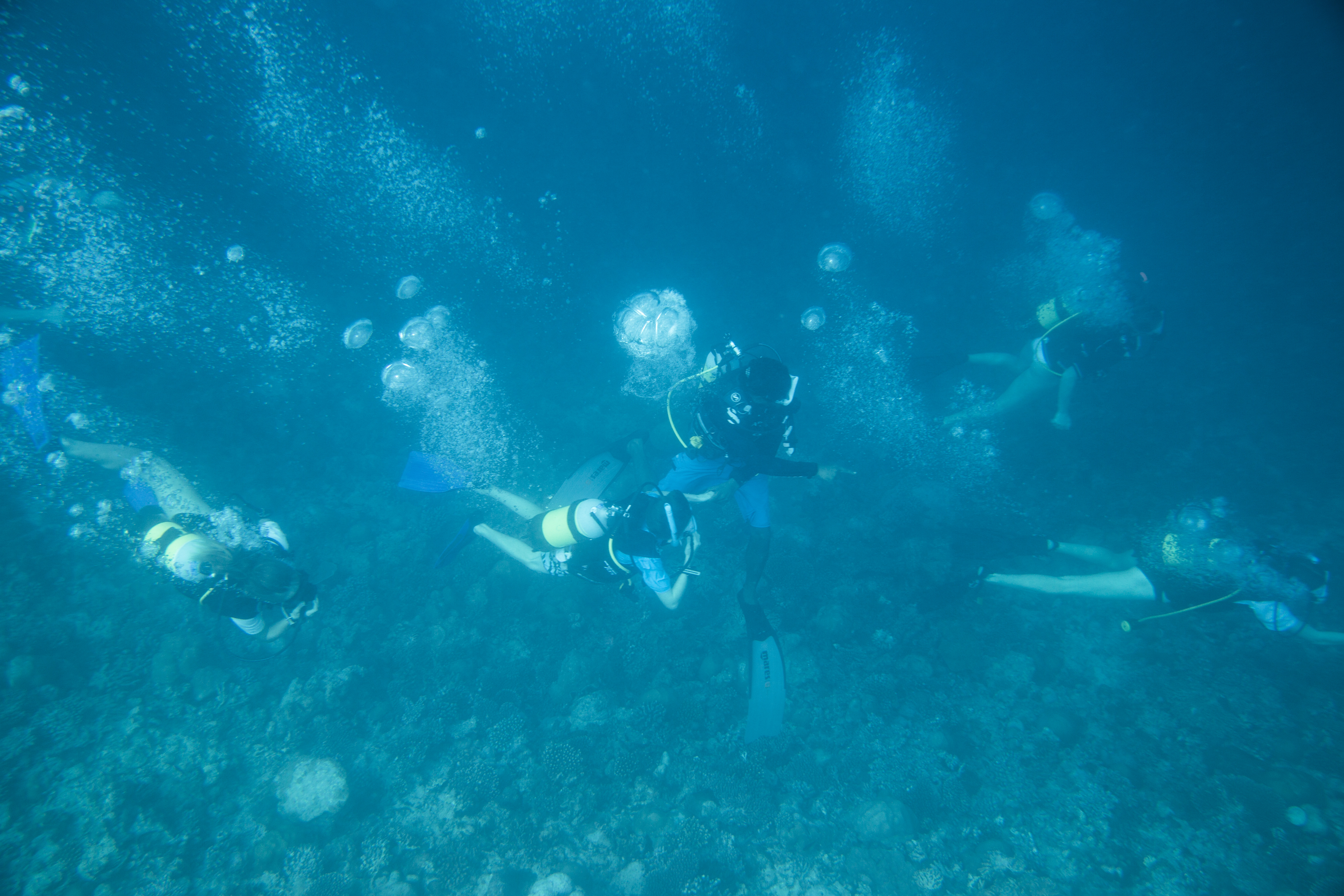 Lacabana Maldives A DhMaamigili Island Diving (3)