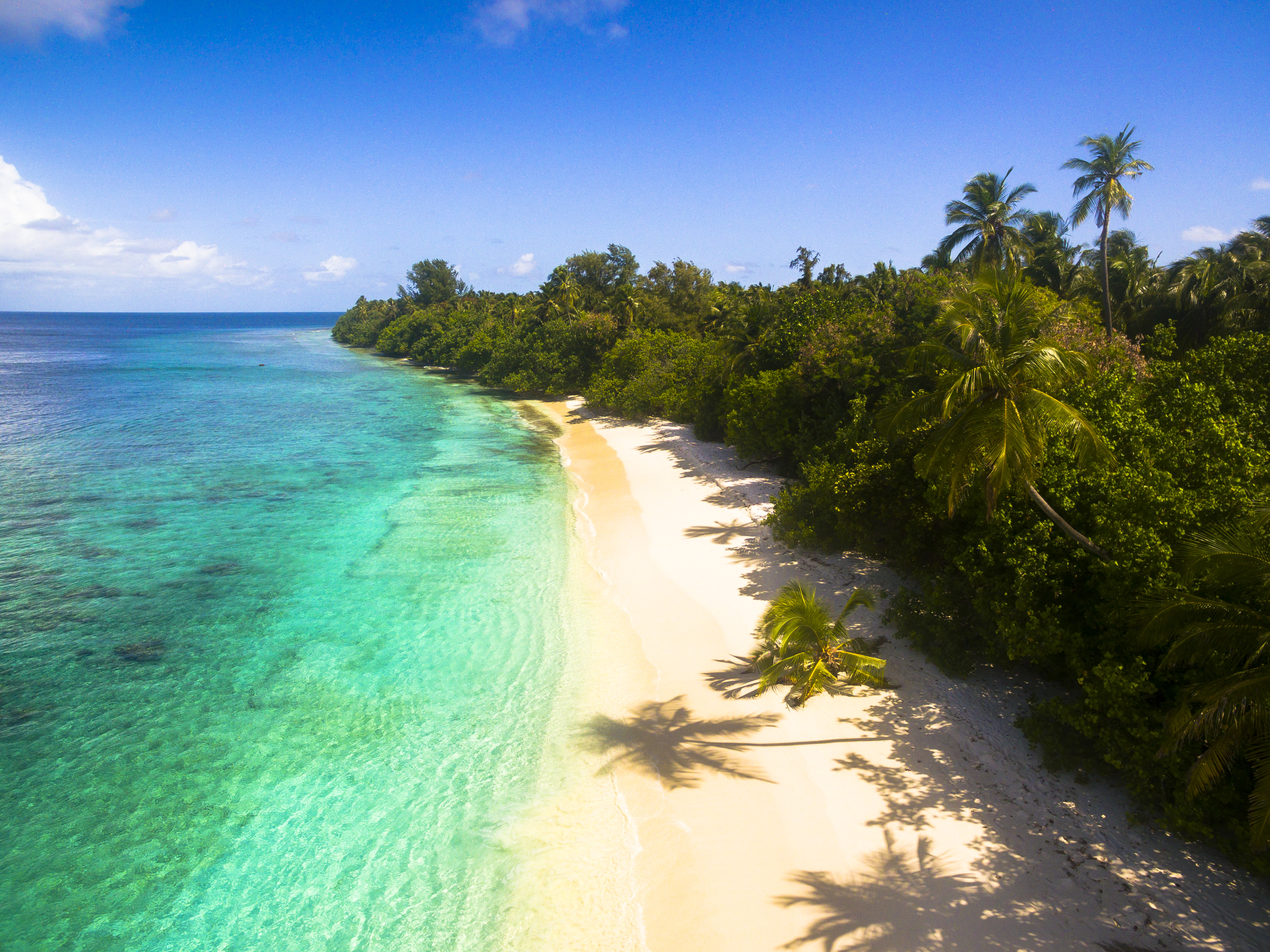 Lacabana Maldives Ariyadhoo Picnic island (8)