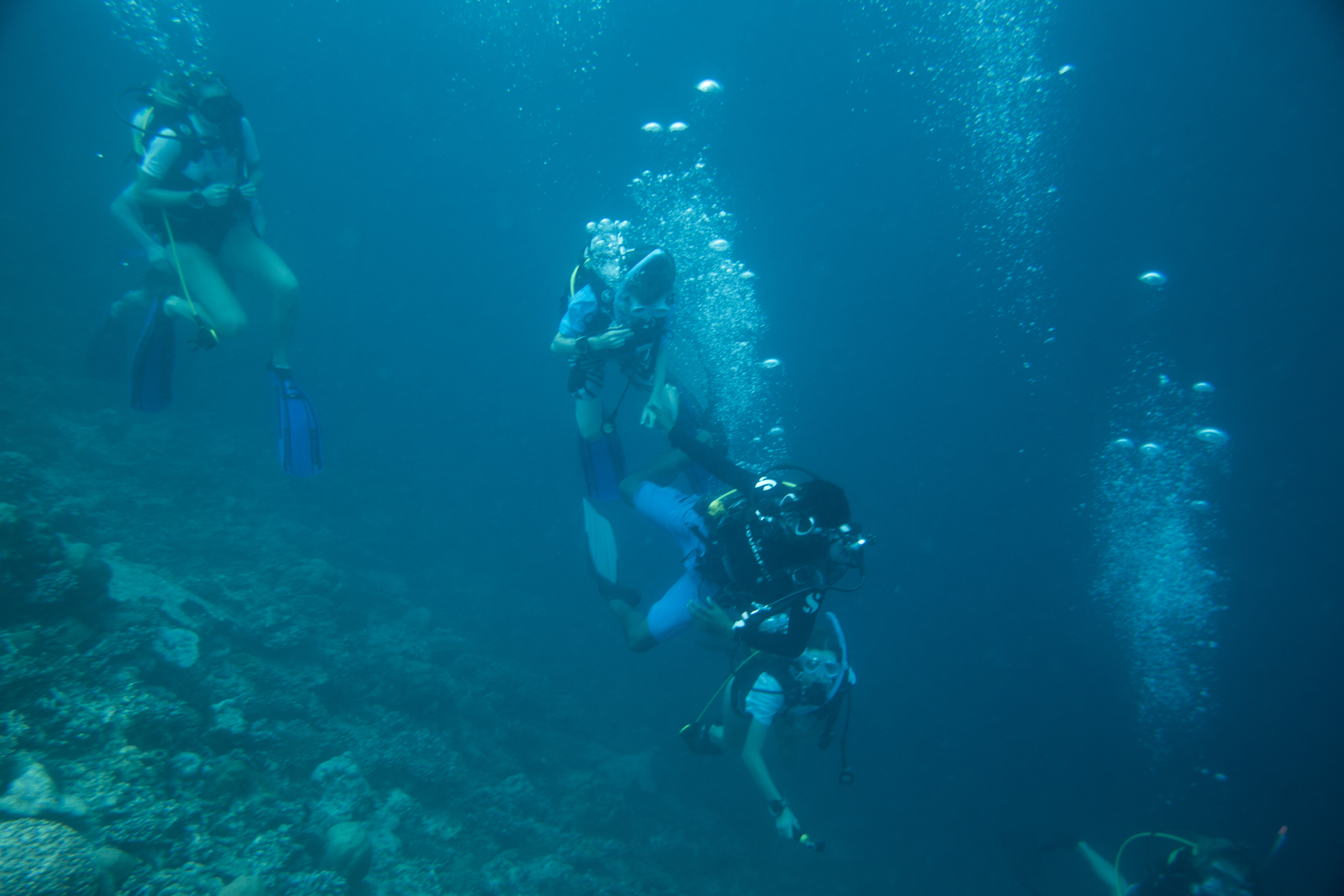 Lacabana Maldives A DhMaamigili Island Diving (2)