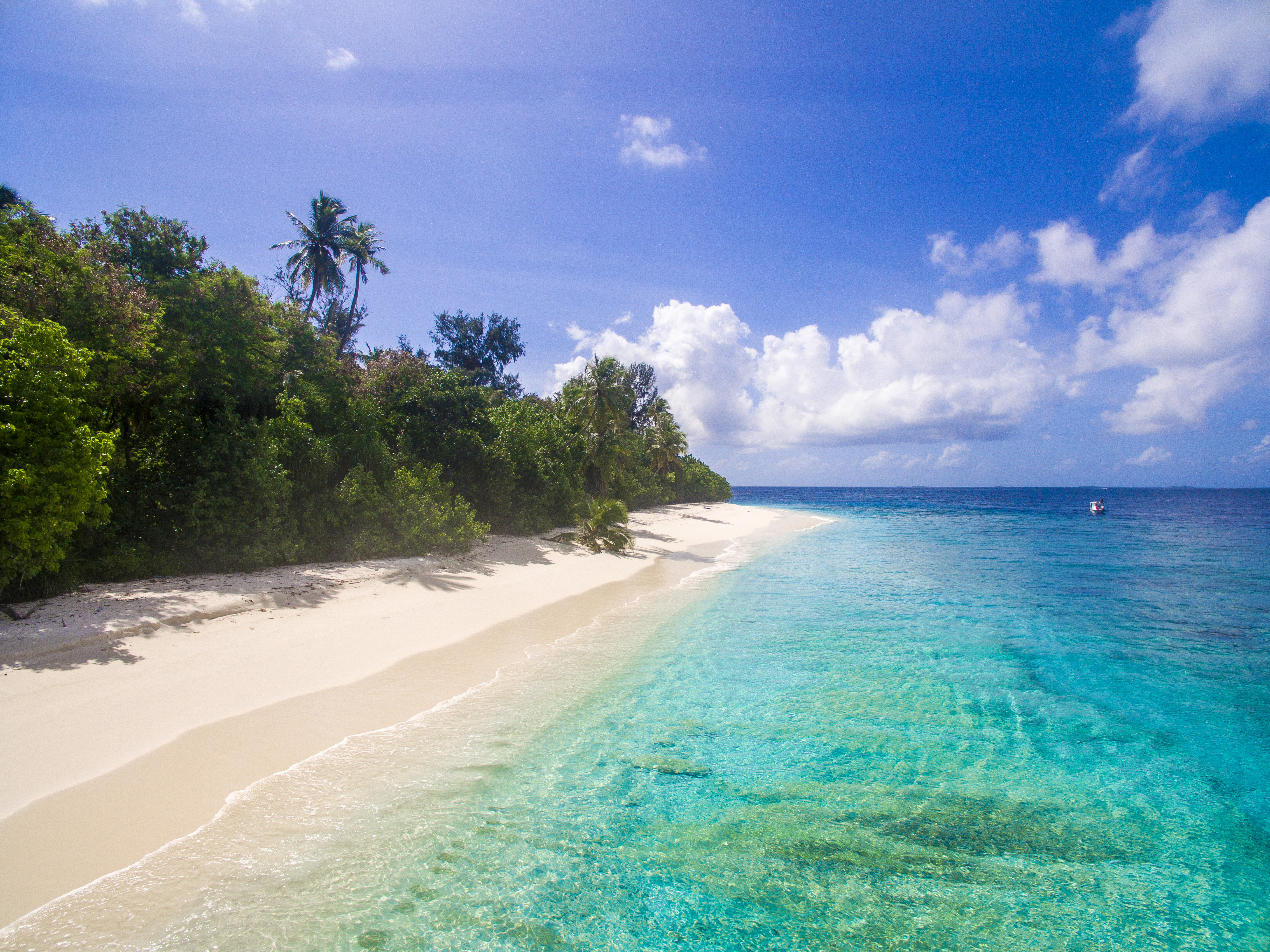 Lacabana Maldives Ariyadhoo Picnic island (4)