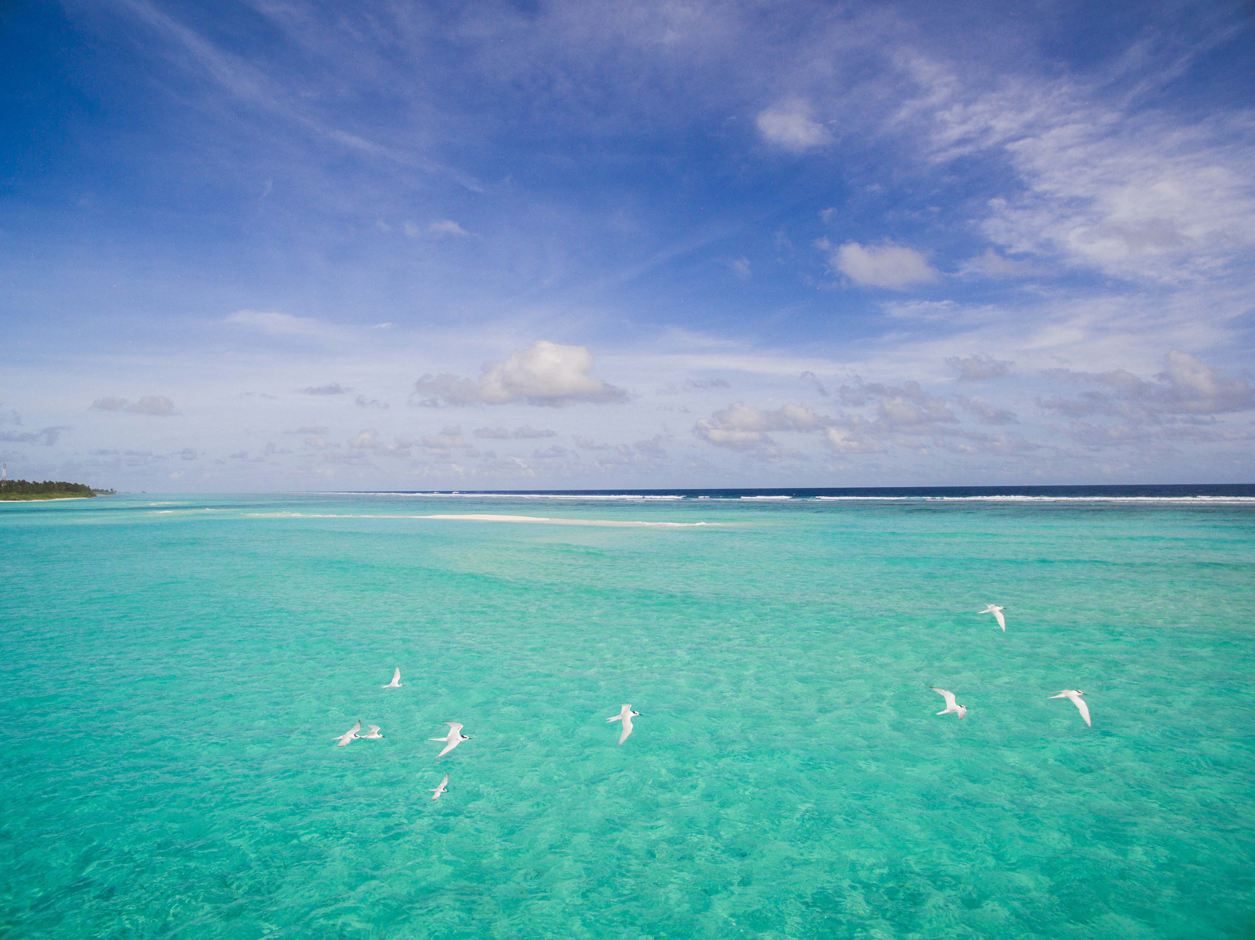 Lacabana Maldives Sand Bank (1)