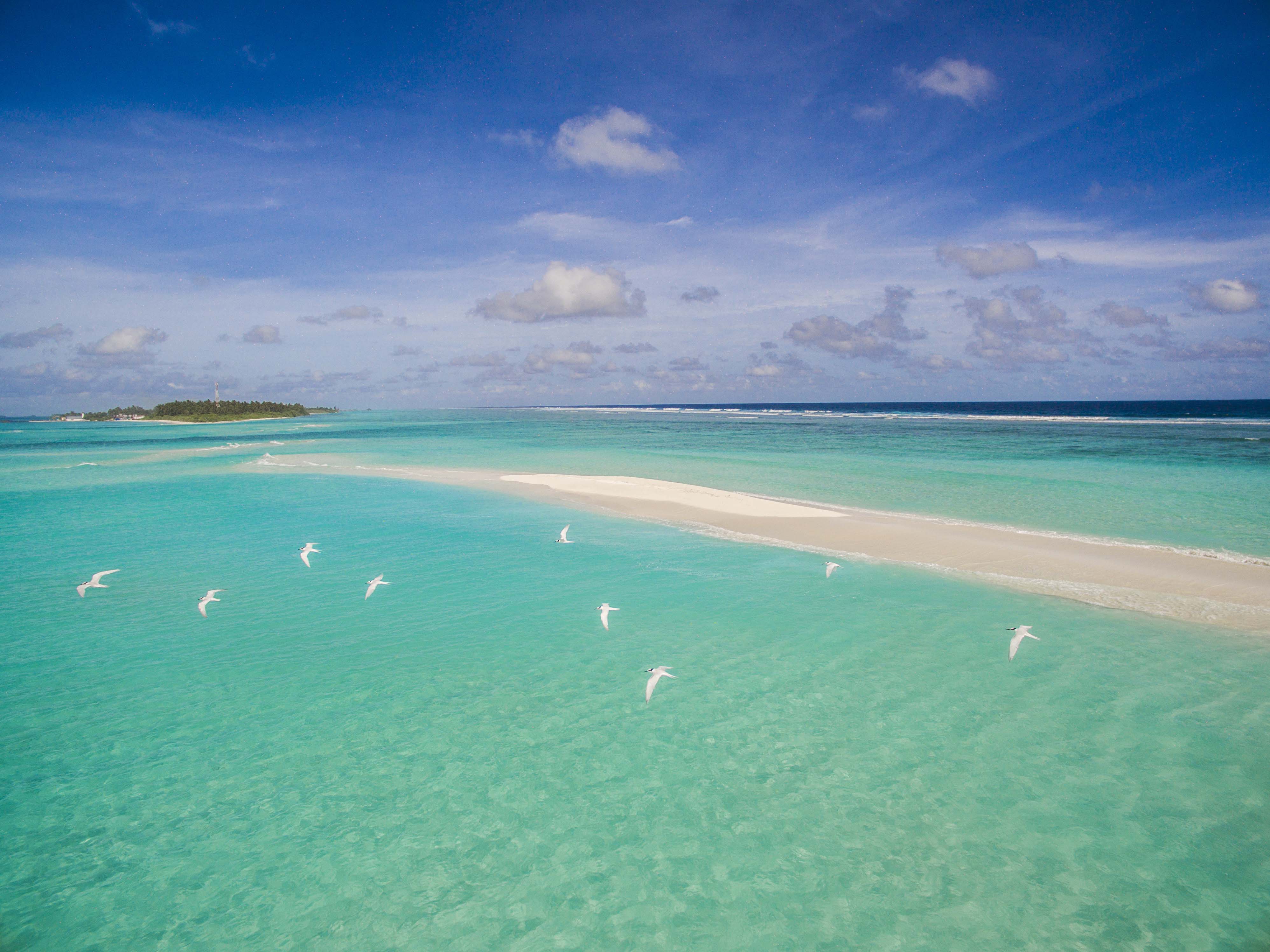 Lacabana Maldives Sand Bank (3)