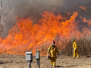 Prairie Management