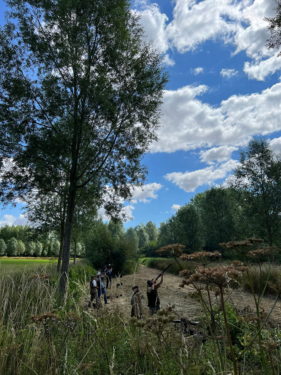 Photo 16-07-2022, 11 01 38