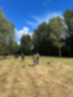 Photo 03-07-2022, 13 24 34