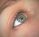 lash i (2).png