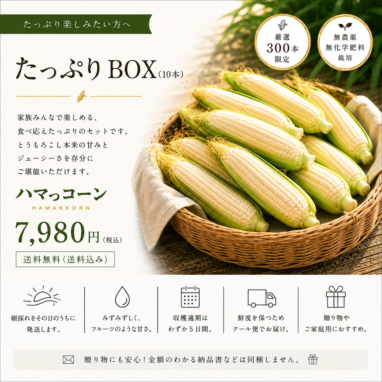 【予約受付中】ハマっコーン|たっぷりBOX(10本)