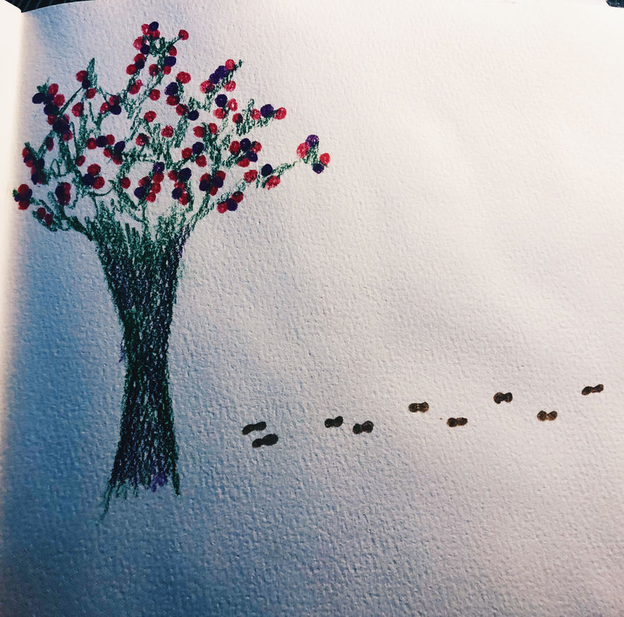 A lone cherry blossom tree and footsteps walking away from the tree