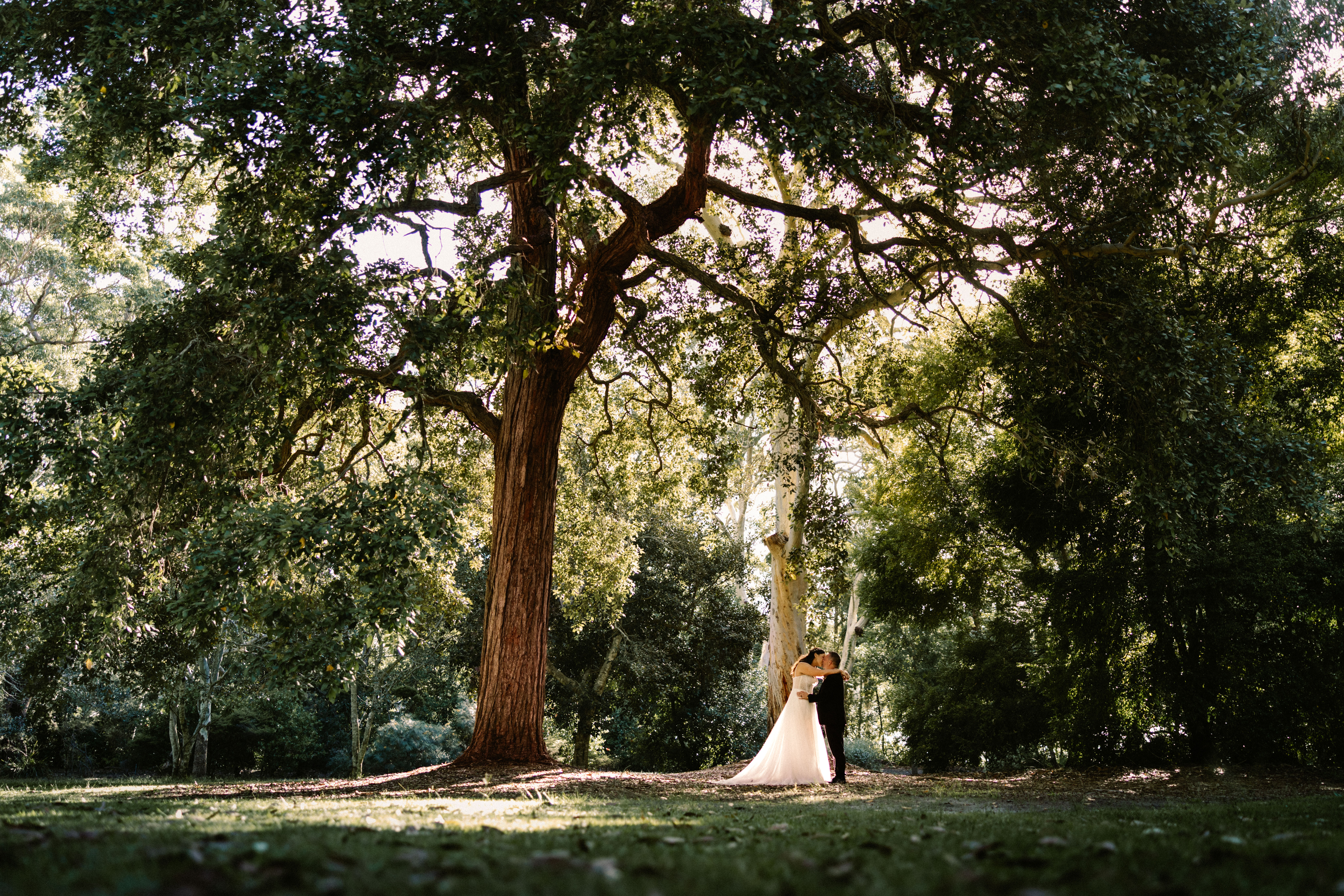 Ben Lang Images — photo 16 of 18