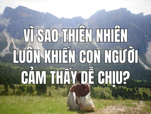 Cơ chế khoa học giải thích vì sao thiên nhiên luôn khiến con người cảm thấy dễ chịu