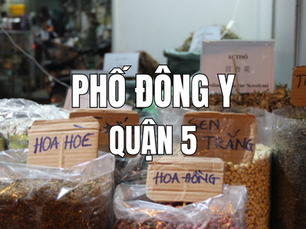 Khám phá phố Đông y Quận 5: Điểm đến văn hóa và y học bổ ích tại Sài Gòn