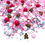 Thumbnail: Candy Land
