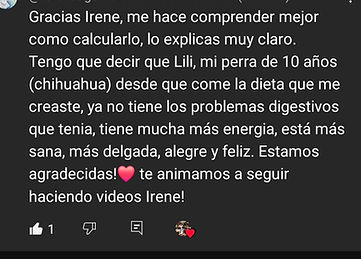 Comentarios Youtube