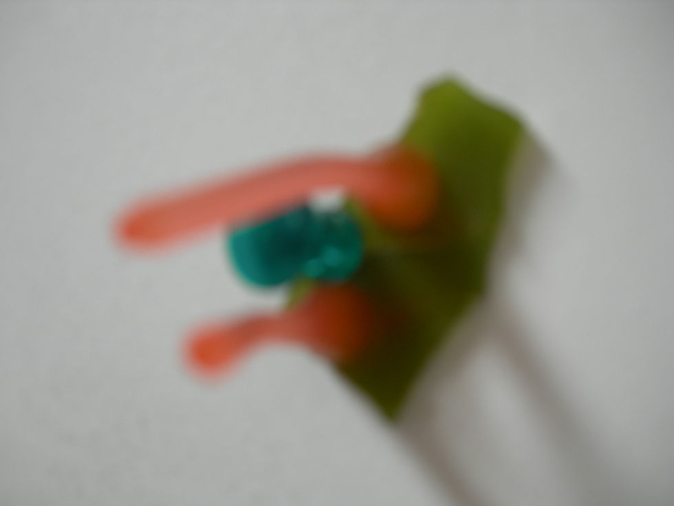 DSCN5397.JPG