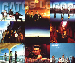 GATOS LOCOS-O te quedas o te vas