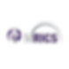 Untitled design (49).png