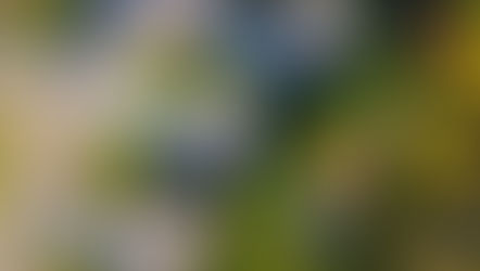 Long-Term vs. Short-Term Rentals: Why STRs Win for Investors