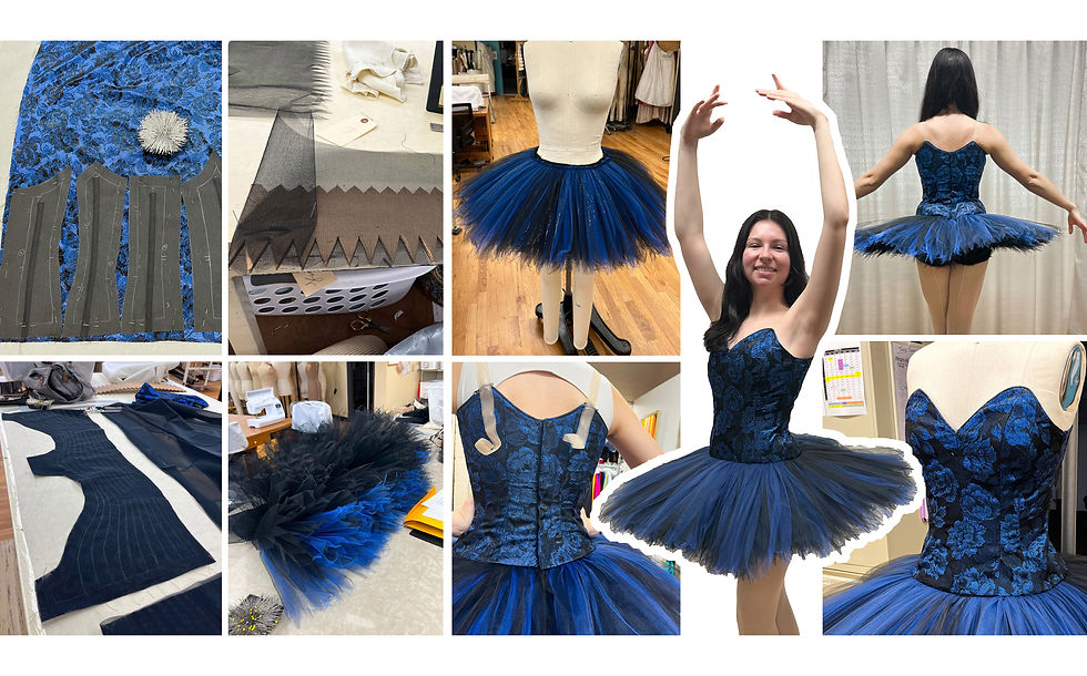 portfolio tutu project (1).jpeg