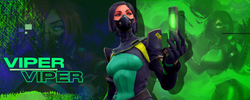 Viper Artwork